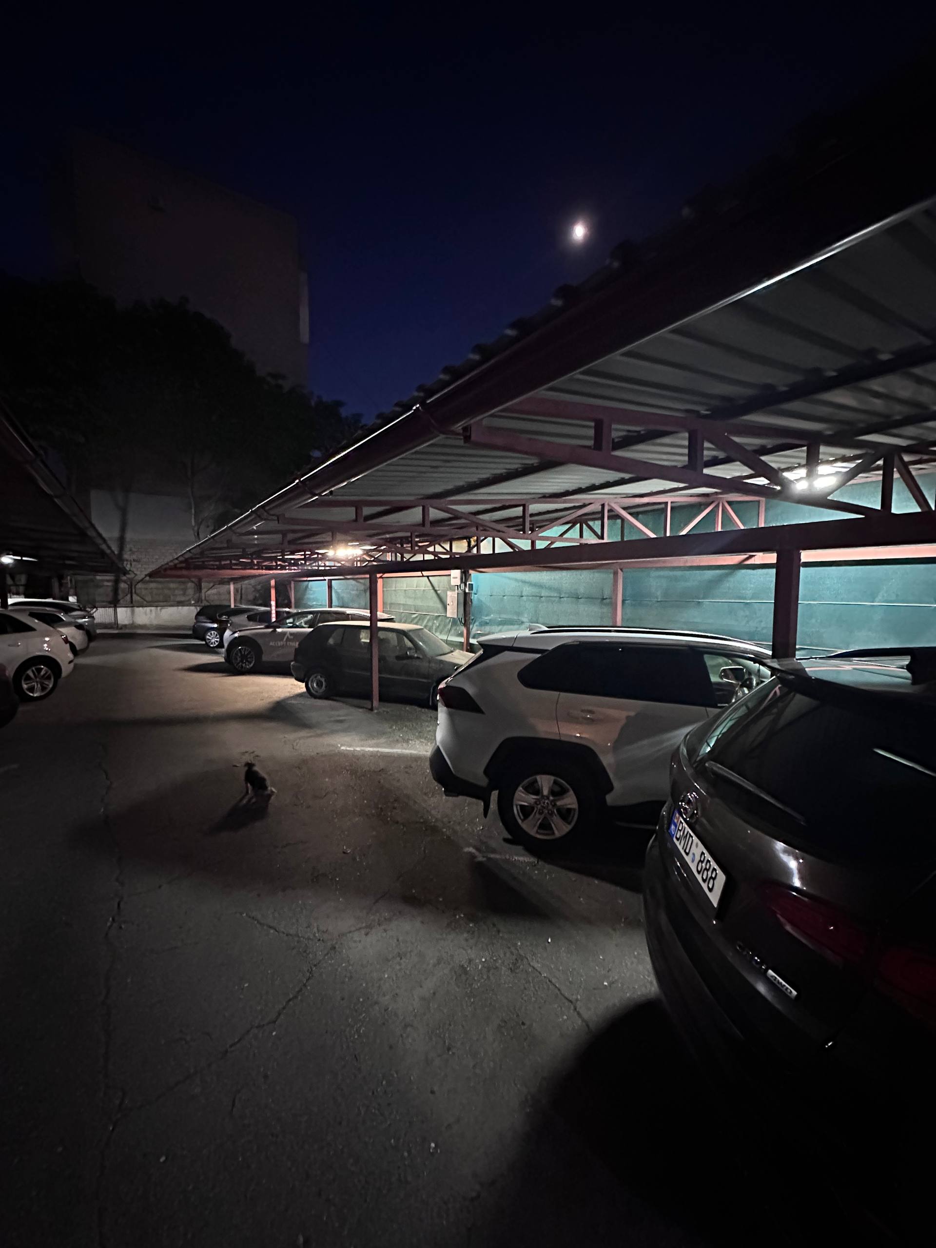 Copertină auto - balustradă sticlă